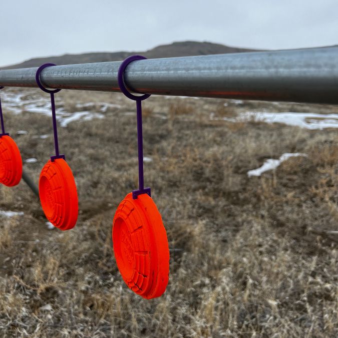 Purple Clay Pigeon Hooks